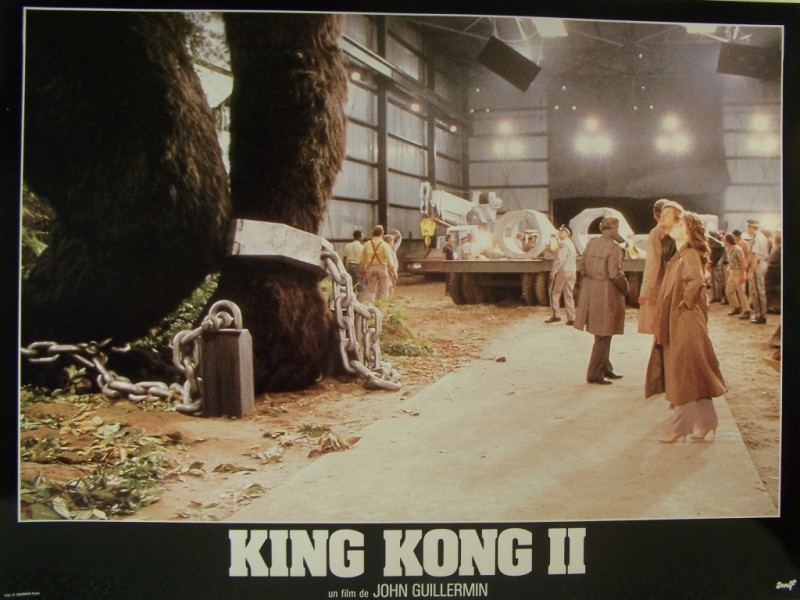 Photo du film KING KONG II - KING KONG LIVES
