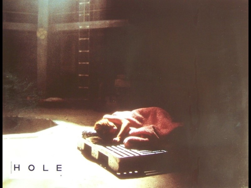 Photo du film HOLE (THE) - HOLE (THE)