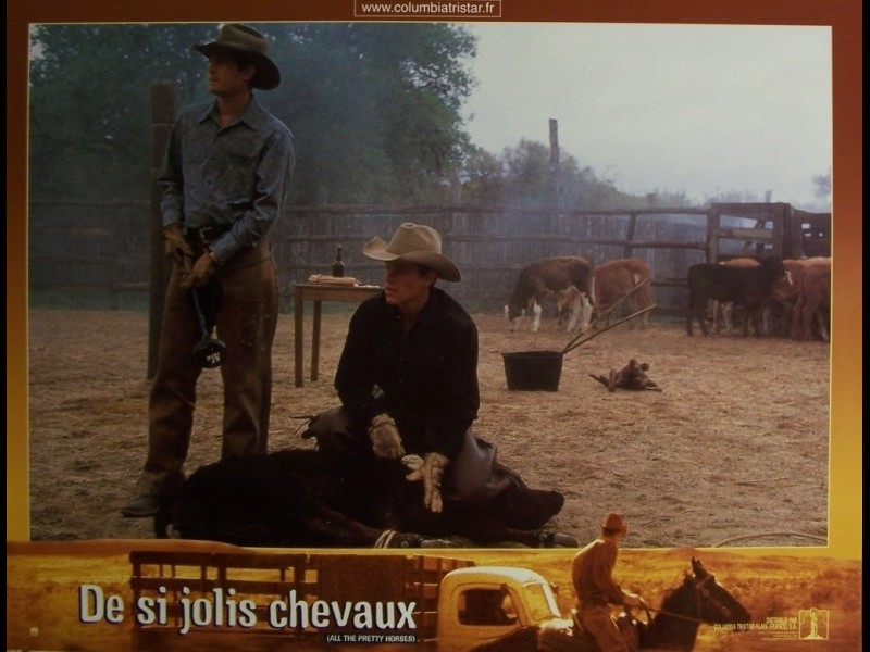Photo du film DE SI JOLIS CHEVAUX - ALL THE PRETTY HORSES
