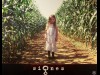 SIGNES - SIGNS