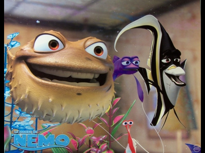 Photo du film MONDE DE NEMO (LE) - FINDING NEMO