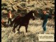 Photo du film LE CAVALIER ELECTRIQUE