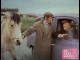 Photo du film TAXI MAUVE (LE) - LE TAXI MAUVE