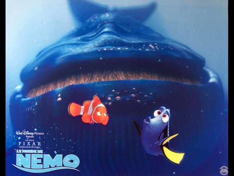 Photo du film MONDE DE NEMO (LE) - FINDING NEMO