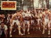 PLUS BEAU DES COMBATS (LE) - REMENBER THE TITANS