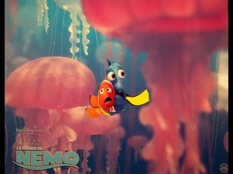 Photo du film MONDE DE NEMO (LE) - FINDING NEMO