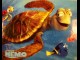 Photo du film MONDE DE NEMO (LE) - FINDING NEMO