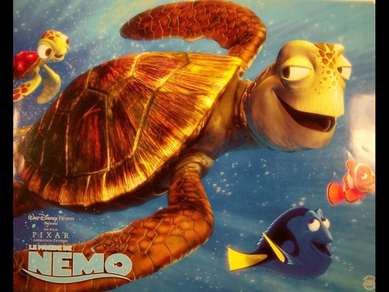 Photo du film MONDE DE NEMO (LE) - FINDING NEMO