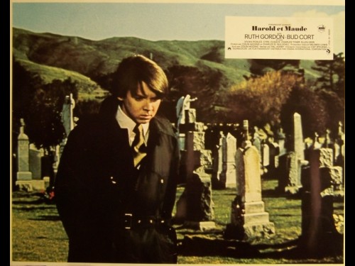 HAROLD ET MAUDE