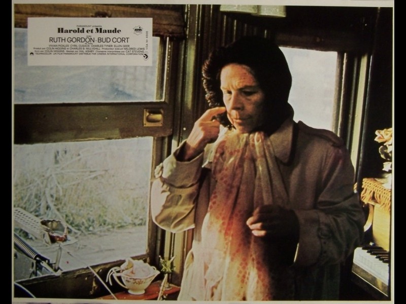 Photo du film HAROLD ET MAUDE