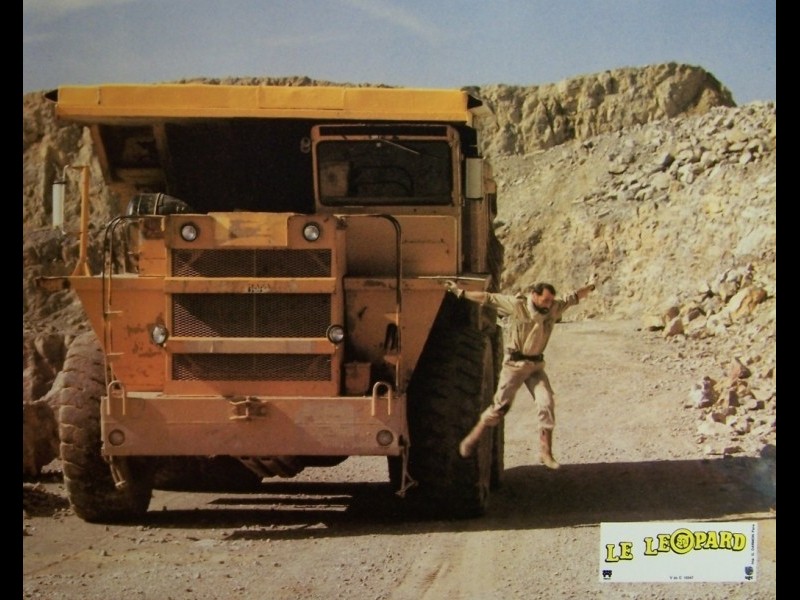 Photo du film LEOPARD (LE)