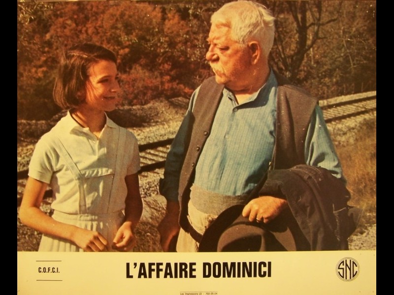 Photo du film AFFAIRE DOMINICI (L')