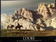 OURS (L') - THE BEAR