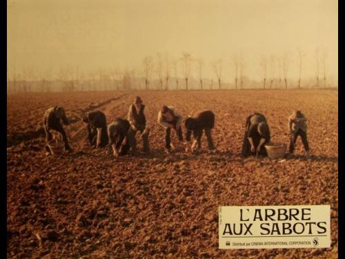 ARBRE AUX SABOTS (L') - L'ALBERO DEGLI ZOCCOLI