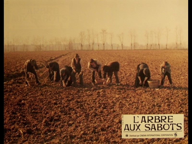 Photo du film ARBRE AUX SABOTS (L') - L'ALBERO DEGLI ZOCCOLI