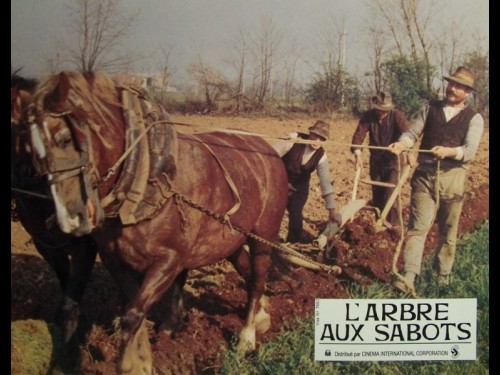 ARBRE AUX SABOTS (L') - L'ALBERO DEGLI ZOCCOLI