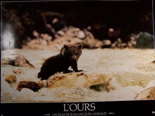 OURS (L') - THE BEAR