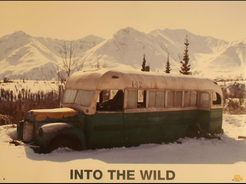 Photo du film INTO THE WILD