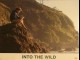 Photo du film INTO THE WILD