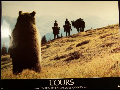 OURS (L') - THE BEAR