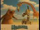 Photo du film MADAGASCAR - LE LOT PHOTOS