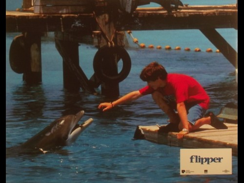 FLIPPER