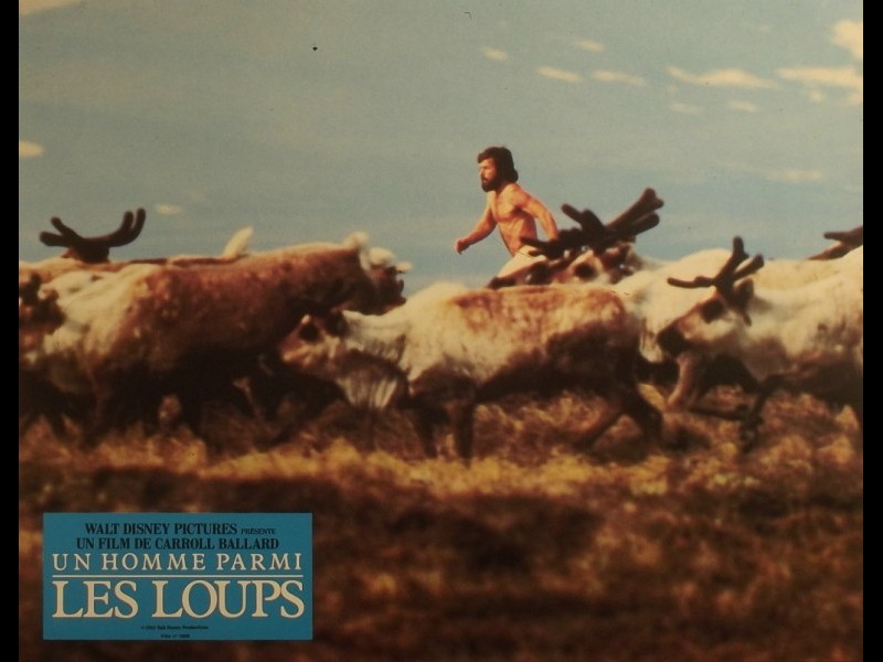 Photo du film UN HOMME PARMI LES LOUPS - NEVER CRY WOLF