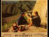 M BUTTERFLY