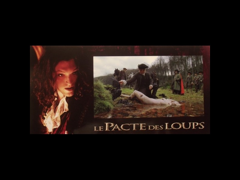 Photo du film PACTE DES LOUPS (LE)