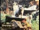 Photo du film SIMETIERE - Titre original : PET SEMATARY -