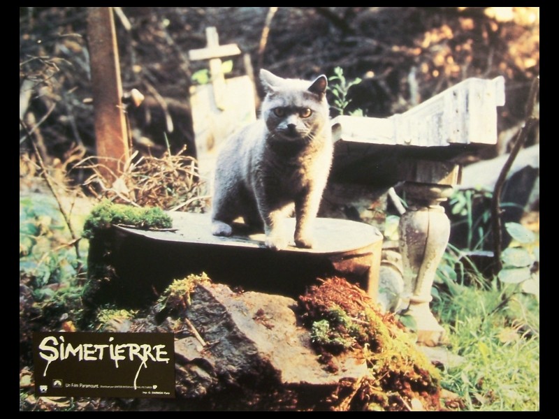 Photo du film SIMETIERE - Titre original : PET SEMATARY -