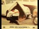 Photo du film DIEU ME SAVONNE- Titre original : FUNNY PEOPLE