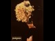IN BED WHITH MADONNA - TRUTH OR DARE: IN BED WITH MADONNA