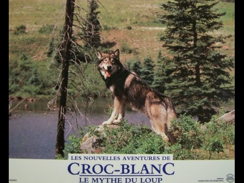 CROC BLANC - WHITE FANG