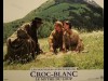 CROC BLANC - WHITE FANG