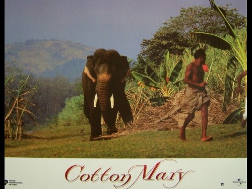 COTTON MARY