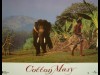 COTTON MARY