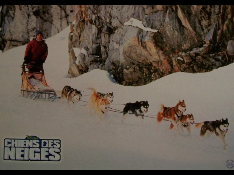 Photo du film CHIENS DES NEIGES - SNOW DOGS