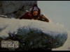 CHIENS DES NEIGES - SNOW DOGS