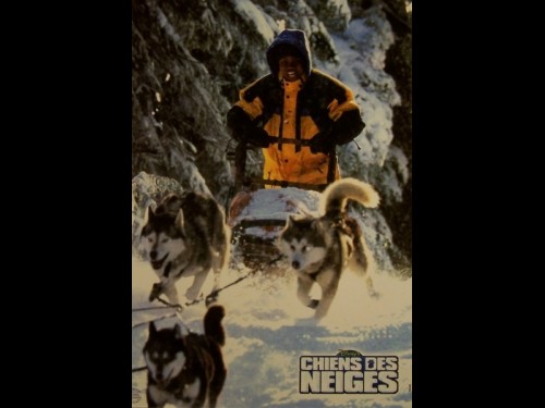 CHIENS DES NEIGES - SNOW DOGS