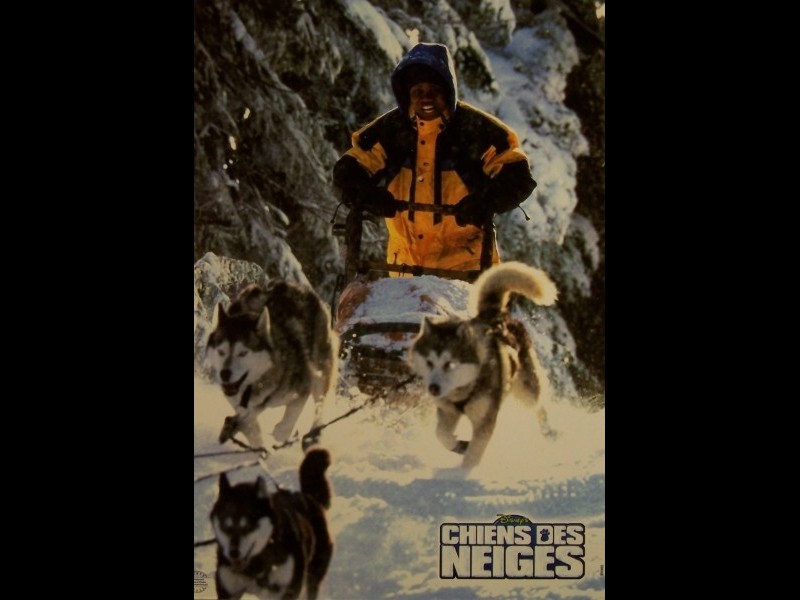 Photo du film CHIENS DES NEIGES - SNOW DOGS