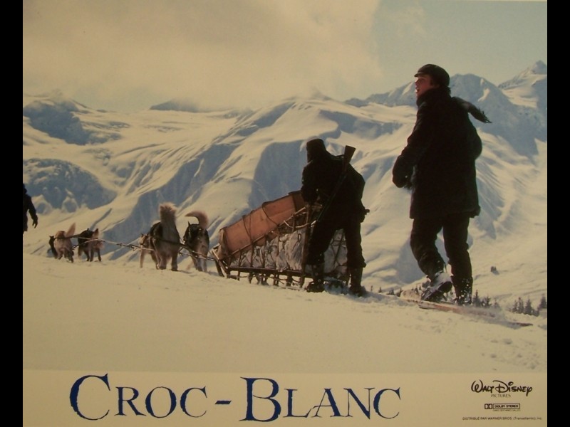 Photo du film CROC BLANC - WHITE FANG