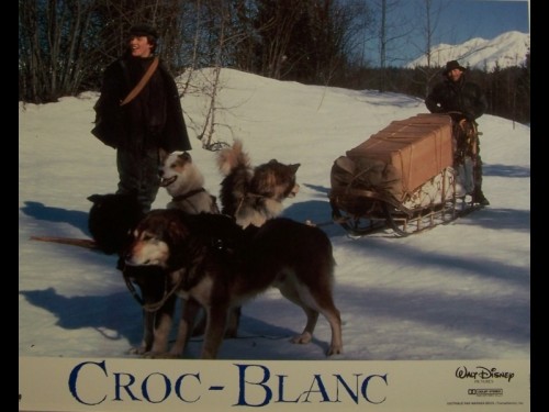 CROC BLANC - WHITE FANG