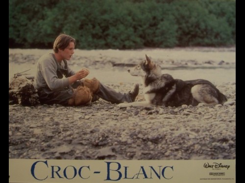 CROC BLANC - WHITE FANG