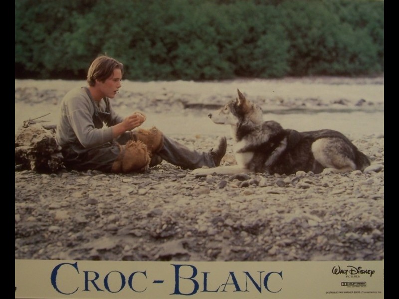 Photo du film CROC BLANC - WHITE FANG