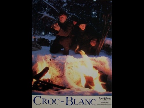 CROC BLANC - WHITE FANG