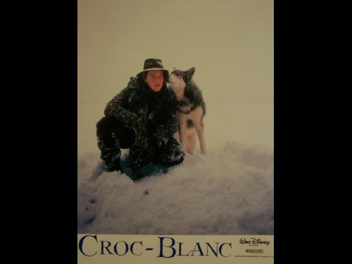 CROC BLANC - WHITE FANG