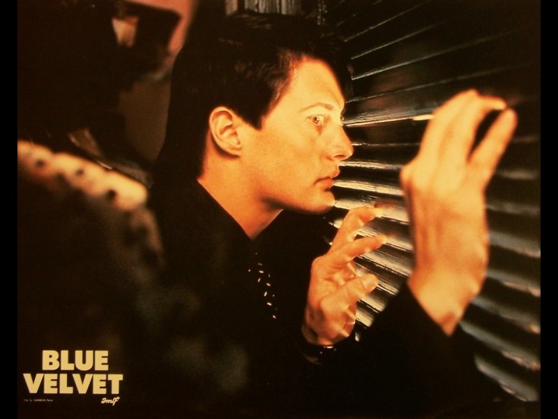 Photo du film BLUE VELVET