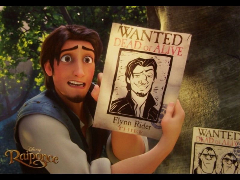 Photo du film RAIPONCE - TANGLED