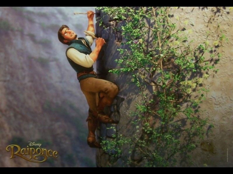 Photo du film RAIPONCE - TANGLED